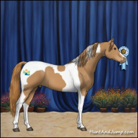 Horse Color:Chestnut Tobiano 