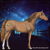 Horse Color:Red Roan 