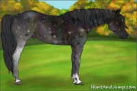 Horse Color:Midnight Bay Ice Sabino 