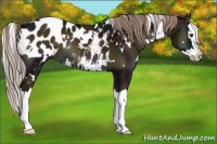 Horse Color:White Spotted Midnight Chocolate Palomino Onyx Splash Blanket