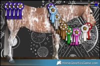 Horse Color:White Spotted Bay Ice