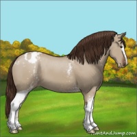 Horse Color:White Spotted Liver Red Dun Sabino Varnish 