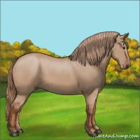 Horse Color:Red Dun