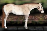 Horse Color:Liver Red Dun Roan Pearl Onyx Brindle
