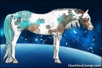 Horse Color:Bay Splash Tobiano