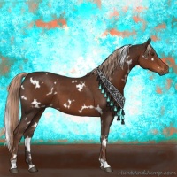 Horse Color:White Spotted Liver Chestnut