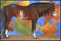 Horse Color:Brown Sabino