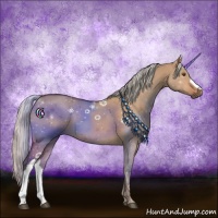 Horse Color:Silver Bay Dun