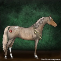 Horse Color:Chocolate Palomino Roan Varnish 