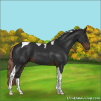 Horse Color:Liver Chestnut Tobiano 