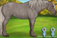 Horse Color:Silver Blue Roan