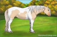 Horse Color:Silver Bay Dun Tobiano