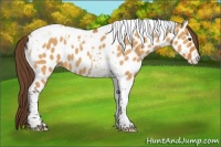 Horse Color:Buckskin Dun Tobiano Near Leopard 