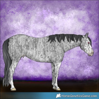 Horse Color:Classic Champagne Chinchilla Ice Tobiano Rabicano and Amber Champagne Chinchilla Ice Roan Splash