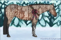 Horse Color:Brown and Bay Dun