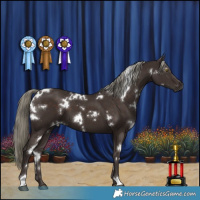 Horse Color:White Spotted Liver Chestnut Mushroom