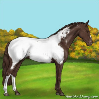 Horse Color:Liver Chestnut Near Fewspot 