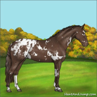 Horse Color:White Spotted Liver Chestnut Varnish 