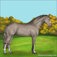 Horse Color:Liver Red Dun Mushroom 