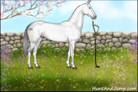 Horse Color:Gray Brown Dun Tobiano