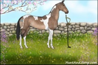 Horse Color:Brown Dun Tobiano 