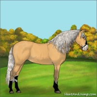 Horse Color:Silver Buckskin Roan Splash Varnish 