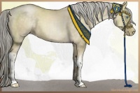 Horse Color:Chocolate Palomino Pearl Dun Mushroom 