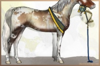 Horse Color:White Spotted Liver Red Onyx Mushroom Brindle 