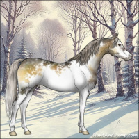 Horse Color:White Spotted Chocolate Palomino Onyx Mushroom Splash Frame 