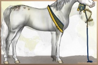 Horse Color:White Spotted Liver Red Onyx Mushroom Splash Brindle 