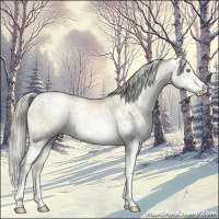 Horse Color:White Spotted Chocolate Palomino Pearl Mushroom Splash 