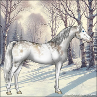 Horse Color:White Spotted Liver Red Onyx Mushroom Splash Rabicano 