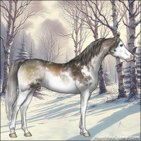 Horse Color:White Spotted Liver Red Onyx Mushroom Splash 