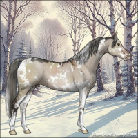 Horse Color:White Spotted Liver Red Dun Mushroom Sabino 