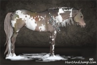 Horse Color:Platinum White Spotted Liver Chestnut 