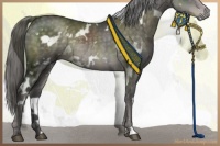 Horse Color:Platinum White Spotted Chocolate Palomino Rabicano 