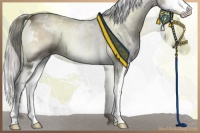 Horse Color:White Spotted Liver Red Onyx Mushroom Splash