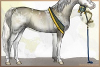 Horse Color:White Spotted Liver Red Dun Onyx Mushroom Sabino Splash Rabicano 