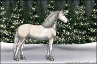 Horse Color:Cremello Sabino Rabicano