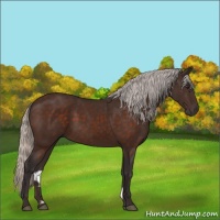Horse Color:Silver Brown 