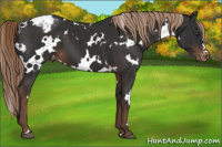 Horse Color:White Spotted Liver Chestnut Varnish 
