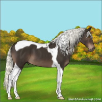 Horse Color:Liver Chestnut Mushroom Tobiano