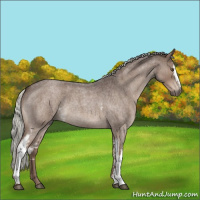 Horse Color:White Spotted Liver Red Roan Mushroom 