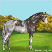 Horse Color:White Spotted Liver Chestnut Mushroom 
