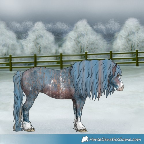 Horse Color:Watercolor Chestnut Ice Sabino Appaloosa Rabicano and Watercolor Bay Ice Sabino Appaloosa Rabicano