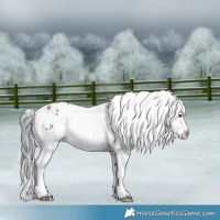 Horse Color:Watercolor Chestnut Ice Sabino Appaloosa Rabicano  and Watercolor Bay Ice Sabino Appaloosa Rabicano 