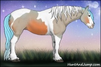 Horse Color:Watercolor Bay Sabino Splash Tobiano 
