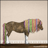 Horse Color:Painted Chocolate Palomino Ice Dun Tobiano Rabicano 