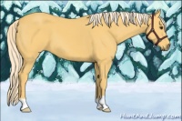 Horse Color:Palomino