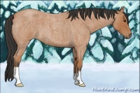 Horse Color:Bay Roan 